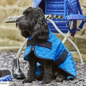 1 x Woofmasta Cooling Dog Coat in Blue - Size 10 Inch - Product Code MA5535 - CL401 - Brand New