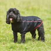 1 x Woofmasta Protech Masta Dog Coat in Black - Size 8 Inch - Reduces Stress and Anxiety - Product