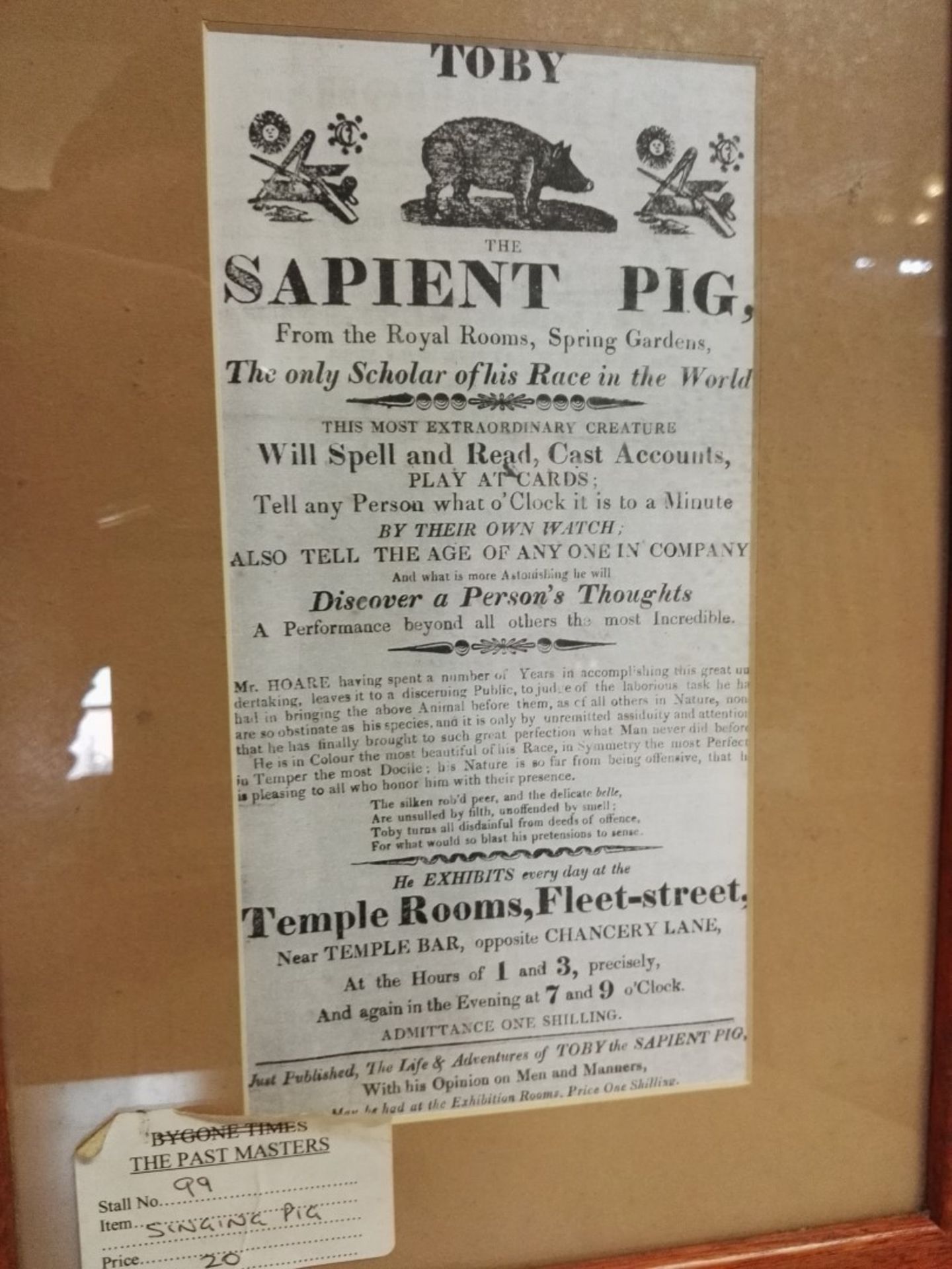 1 x Framed Picture With Toby The Sapient Pig Advertisement - 37 x 27 cms - M551 3F - CL351 - - Image 2 of 2