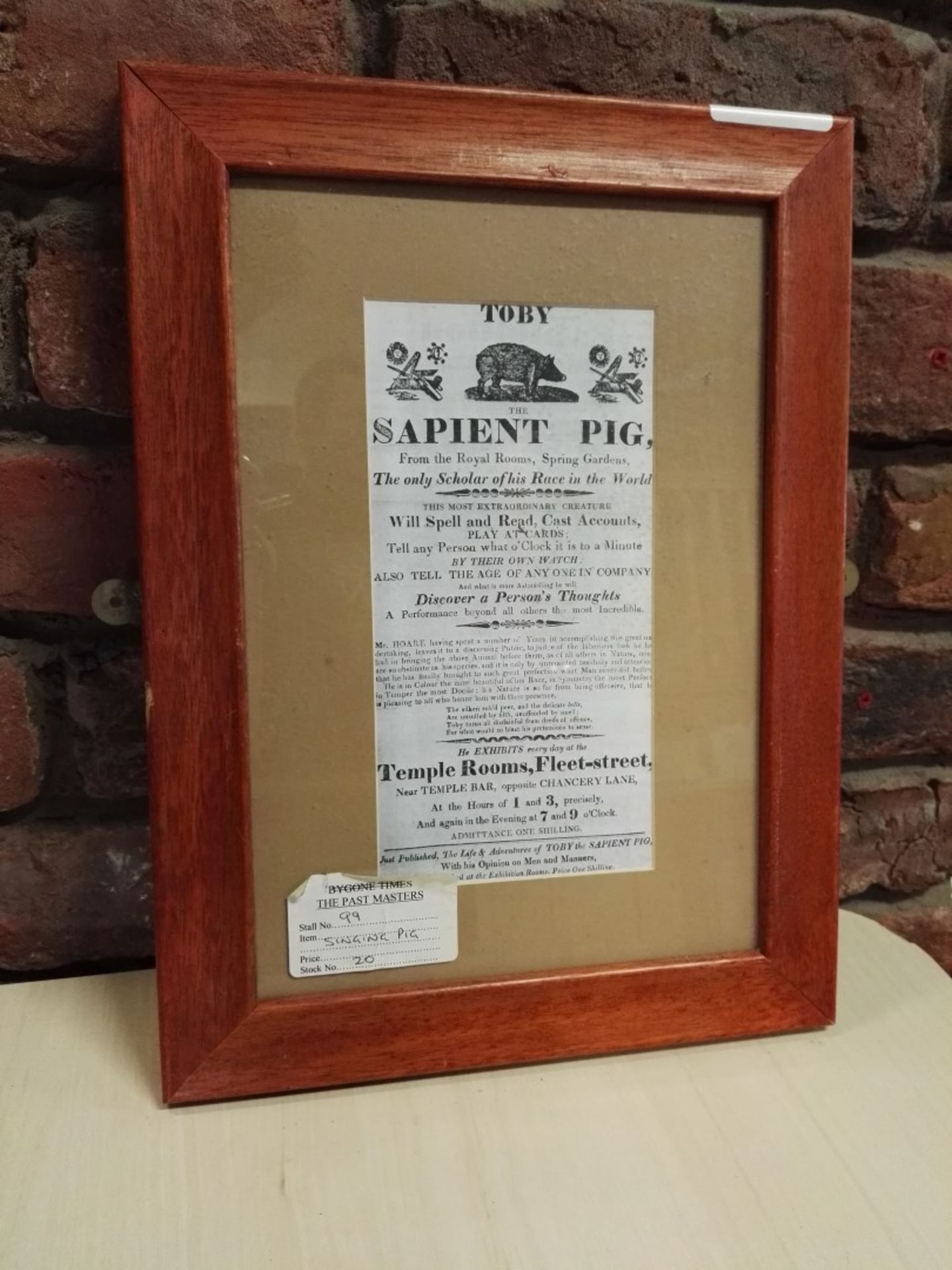 1 x Framed Picture With Toby The Sapient Pig Advertisement - 37 x 27 cms - M551 3F - CL351 -