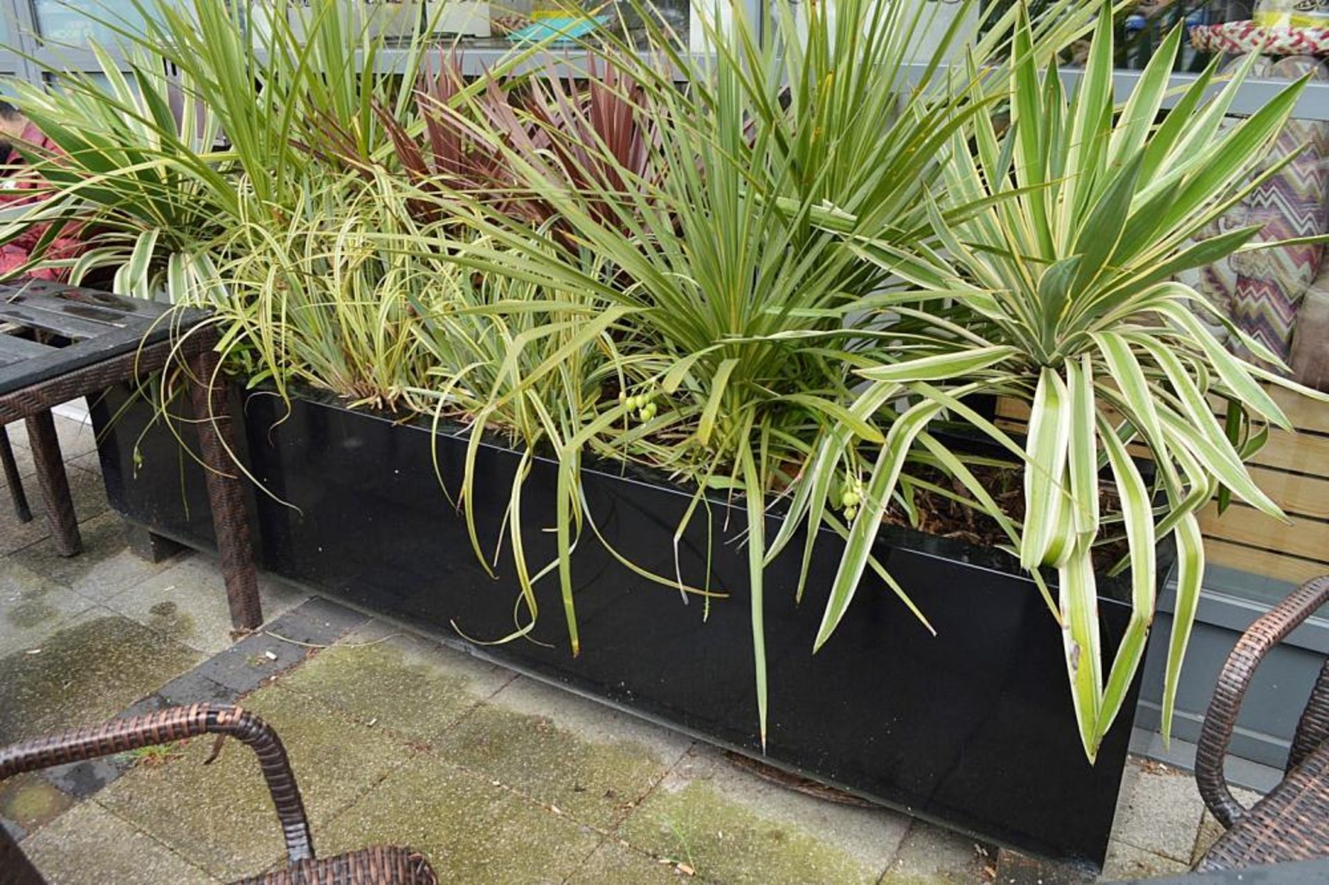 A Pair Of Outdoor Planters In Black - Both Approx 2 METRES In Length - From A Mexican Themed Restaur