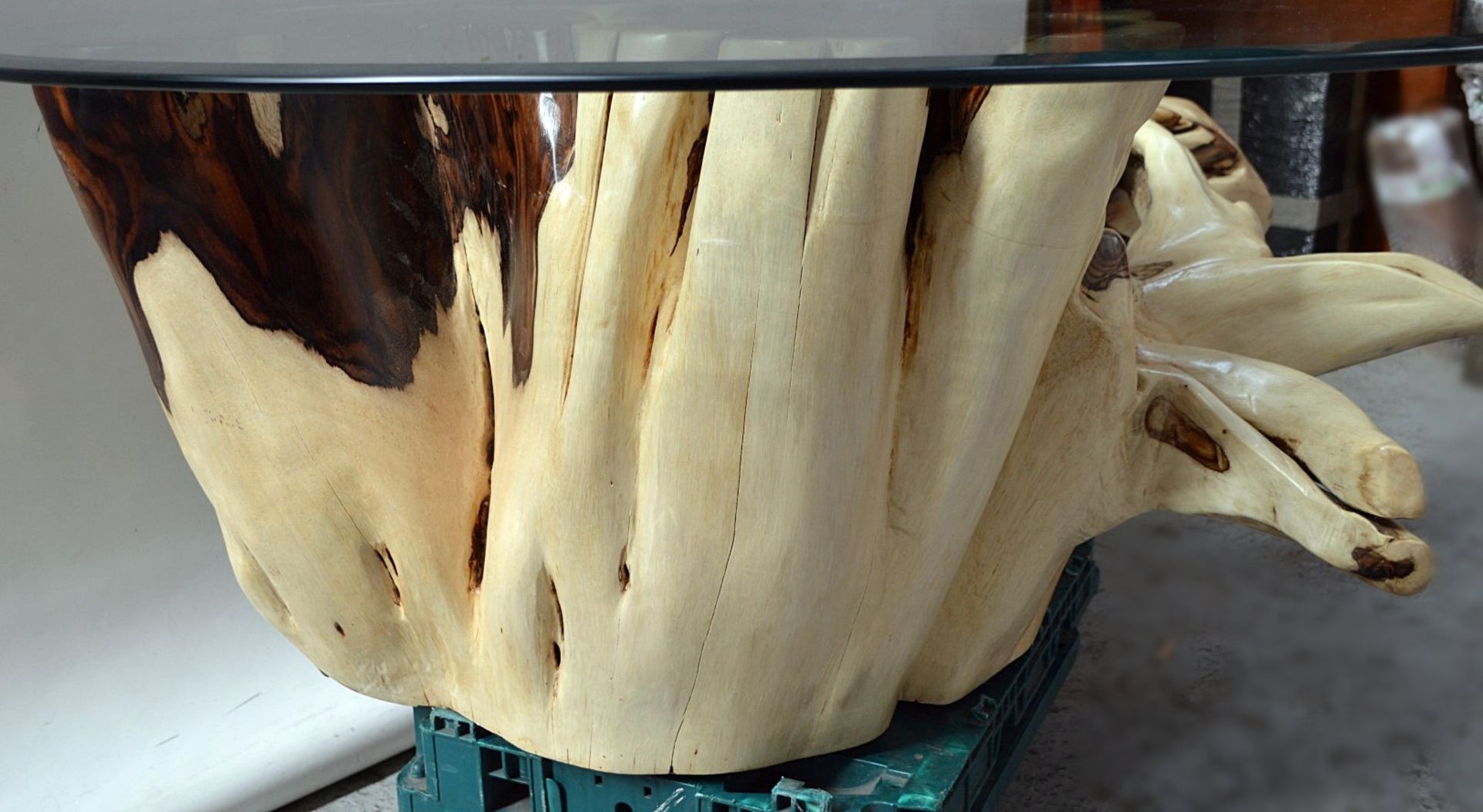 1 x Unique Reclaimed Solid Tree Root Coffee Table With A Tempered Glass Top - Image 6 of 6