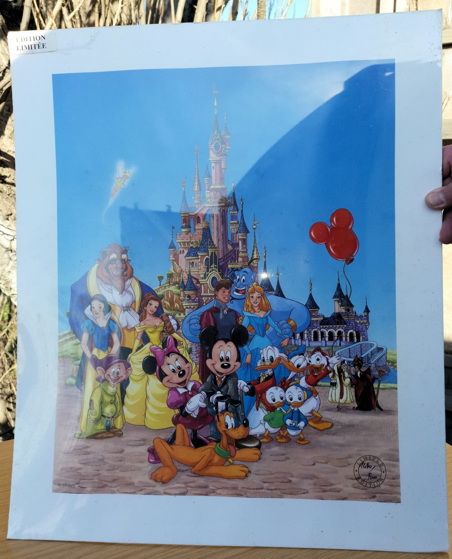 1 x Disneyland Paris Limited Edition Picture with Certificate of Authenticity - Dimensions: 500 x 60