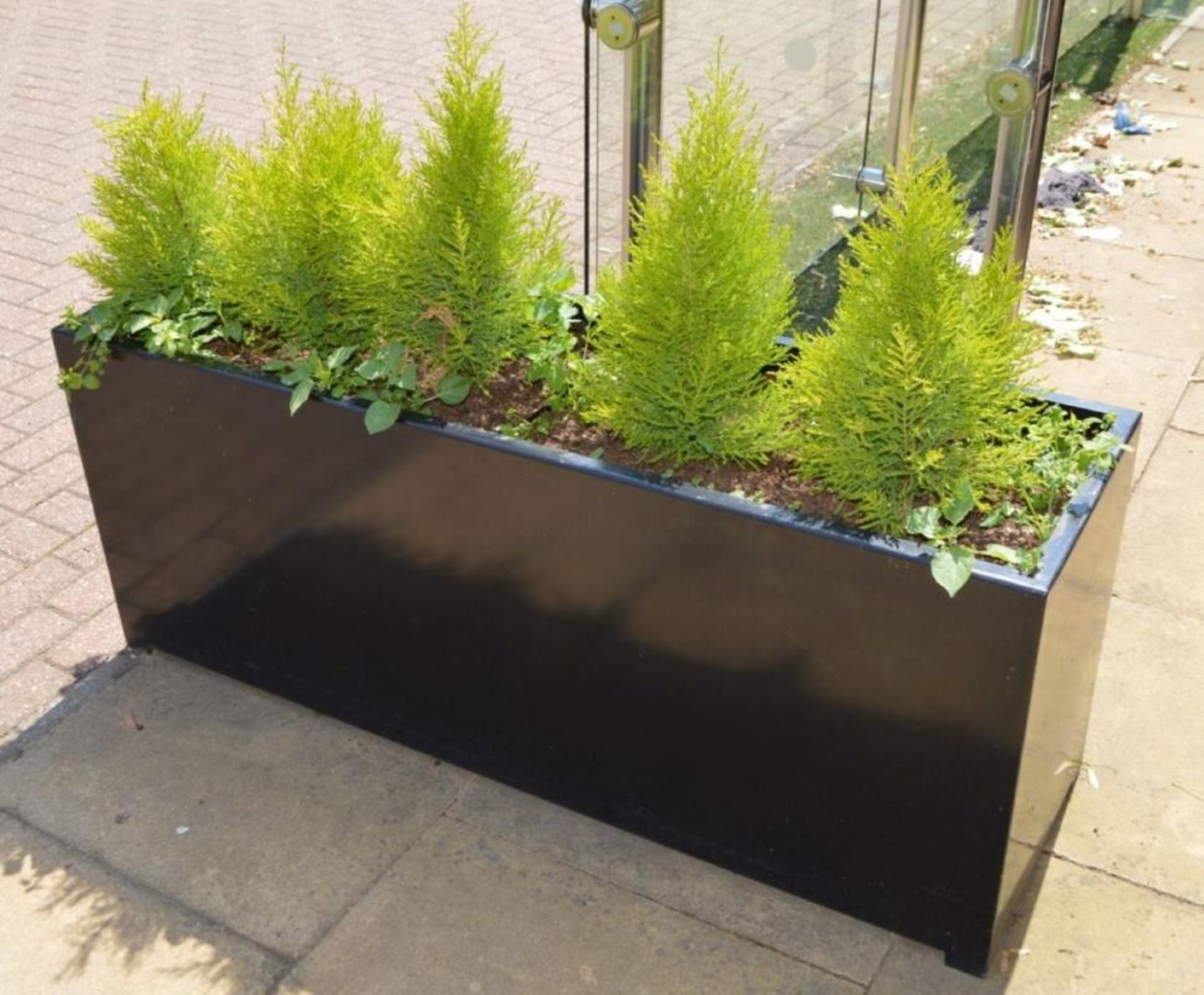 1 x Rectangular Outdoor Planter in Black With Small Conifer Trees - Planter Size H55 x W136 x D41 - Image 4 of 4