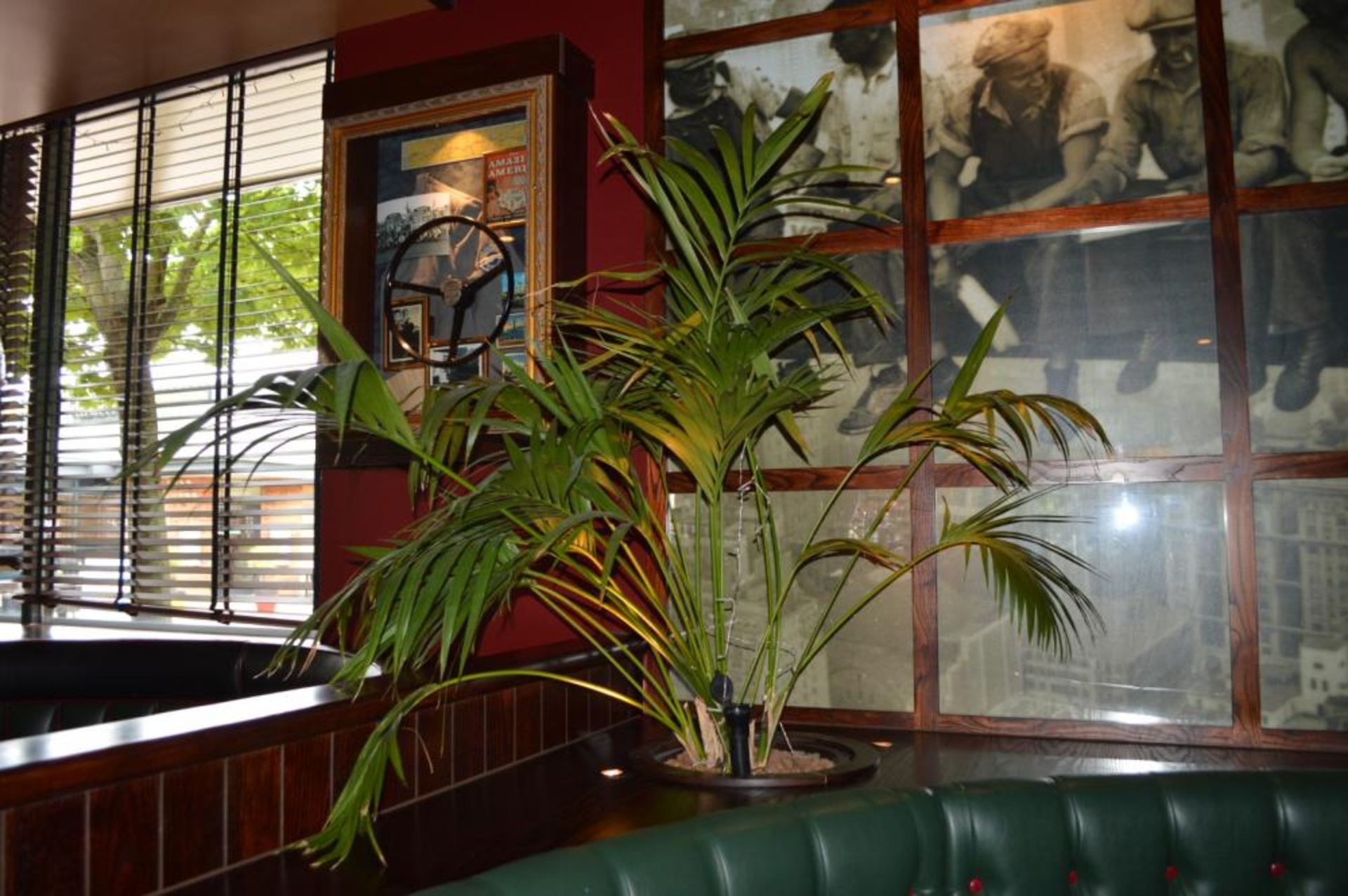 4 x Large Indoor Potted Plants With With Pots, Stones and Watering Spikes - CL390 - Location: - Image 4 of 5