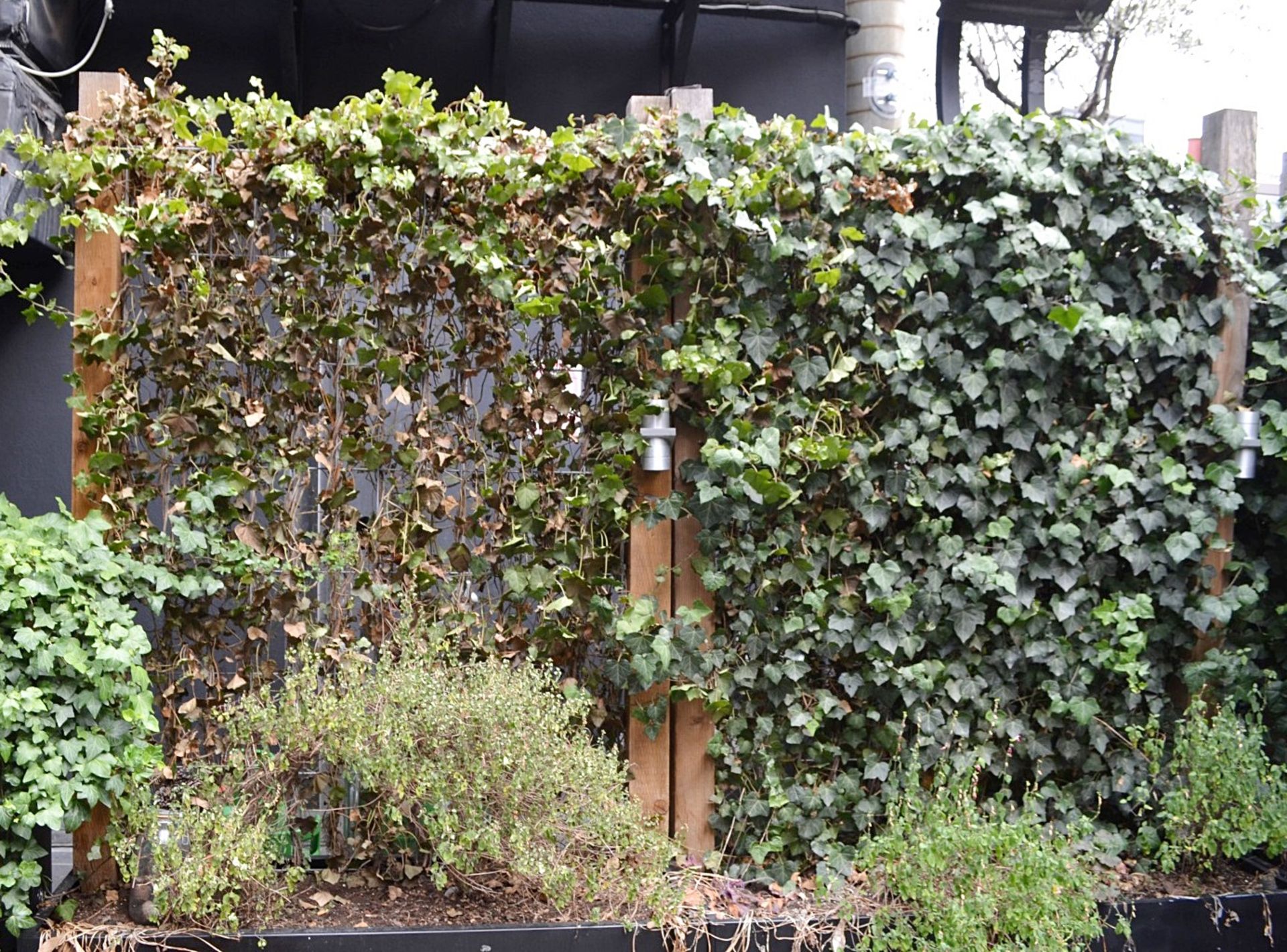 Approx 12 Metres Of 2.4 Metre High Garden Panels / Green Wall - CL392 - Ref LD320 3F - Image 2 of 4