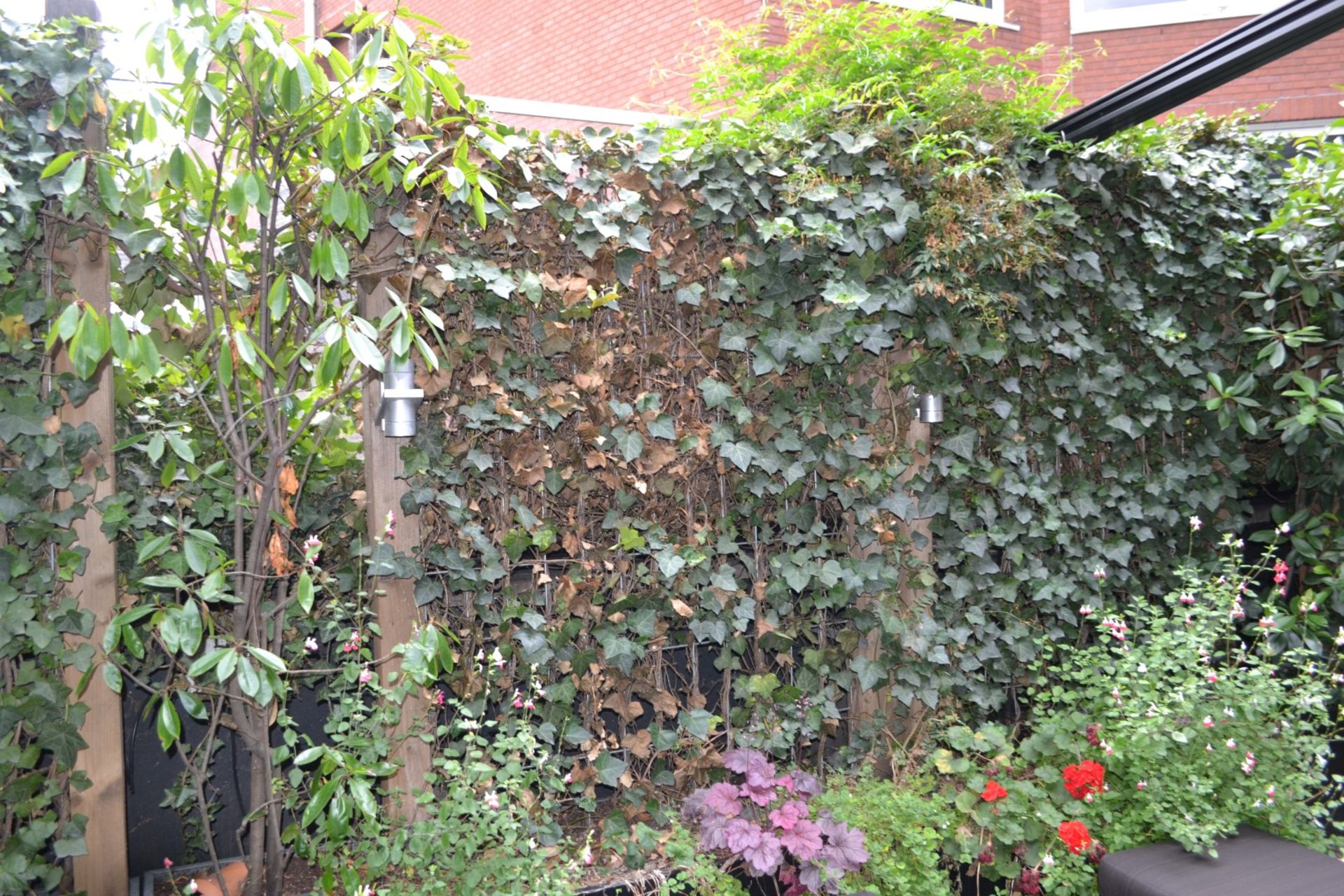 Approx 12 Metres Of 2.4 Metre High Garden Panels / Green Wall - CL392 - Ref LD320 3F - Image 3 of 4