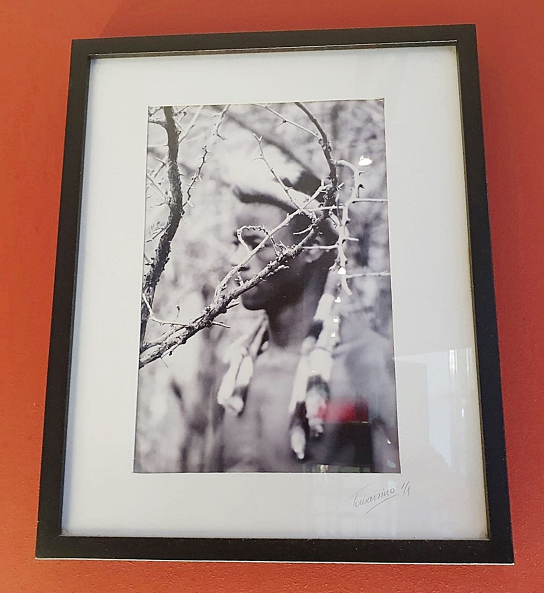 1 x Signed & Numbered Framed Photograph of A Tribesman - Dimensions: 43 x 53cm - Ref: BRE003