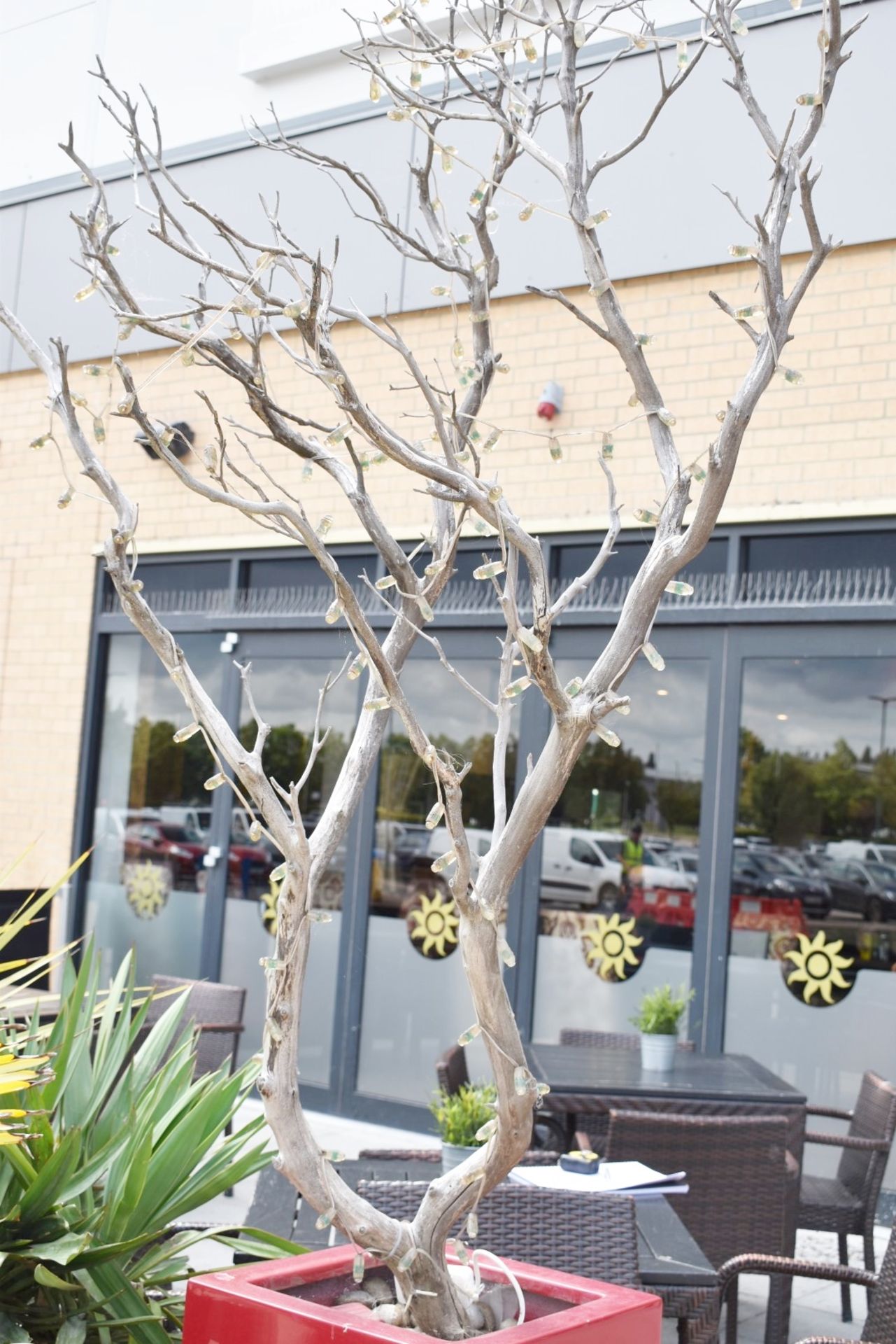 2 x Large Wooden Decorative Trees With Fairy Lights In Red Planters - Image 5 of 5