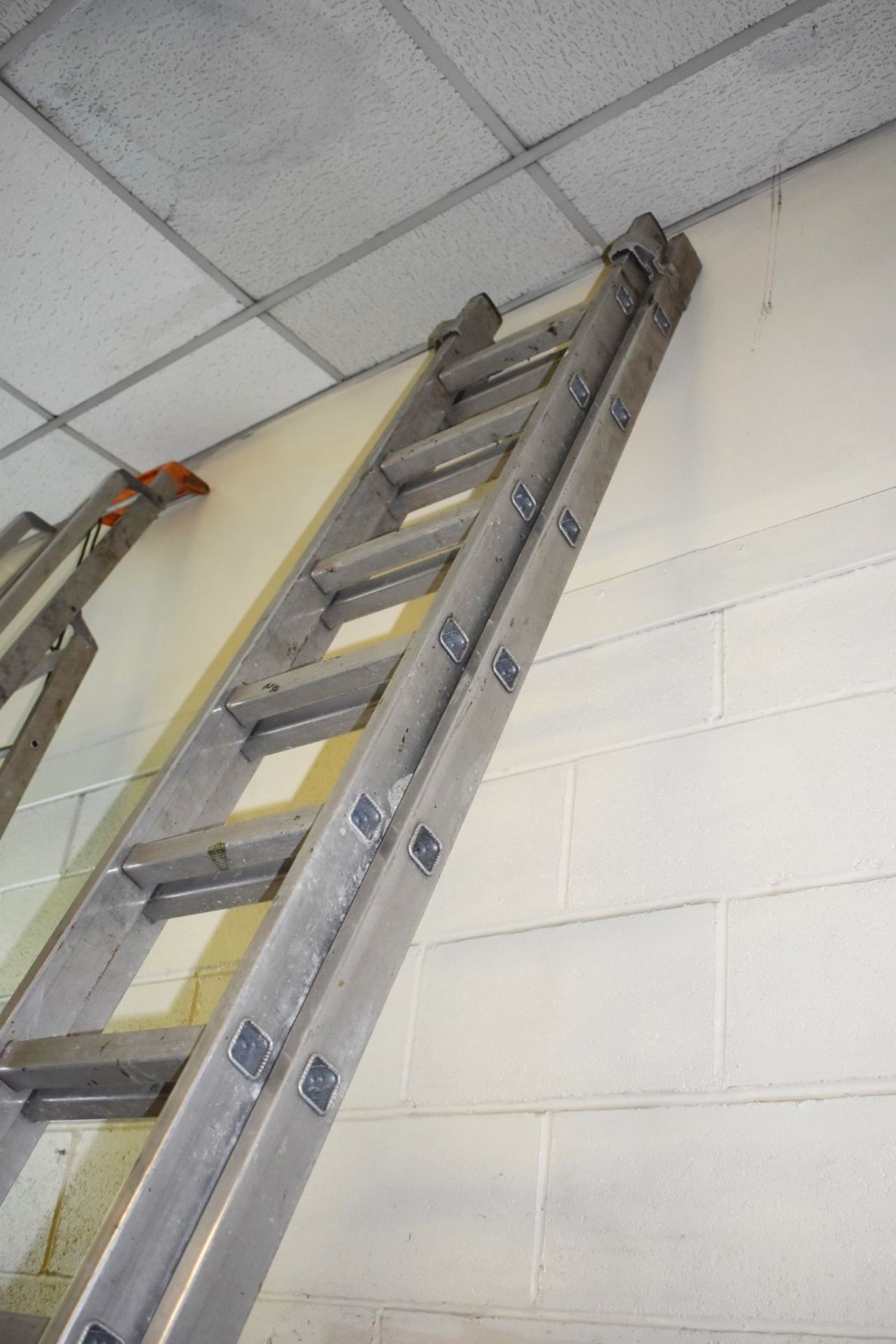 1 x Set of Youngman Trade 350 Extending Ladders - H360 (per section) x W43 cms Ref VM136 B2 - - Image 6 of 6