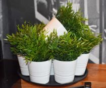 7 x Artificial Table Plants With White Pots - CL499 - Location: London EN1 This lot will incur a