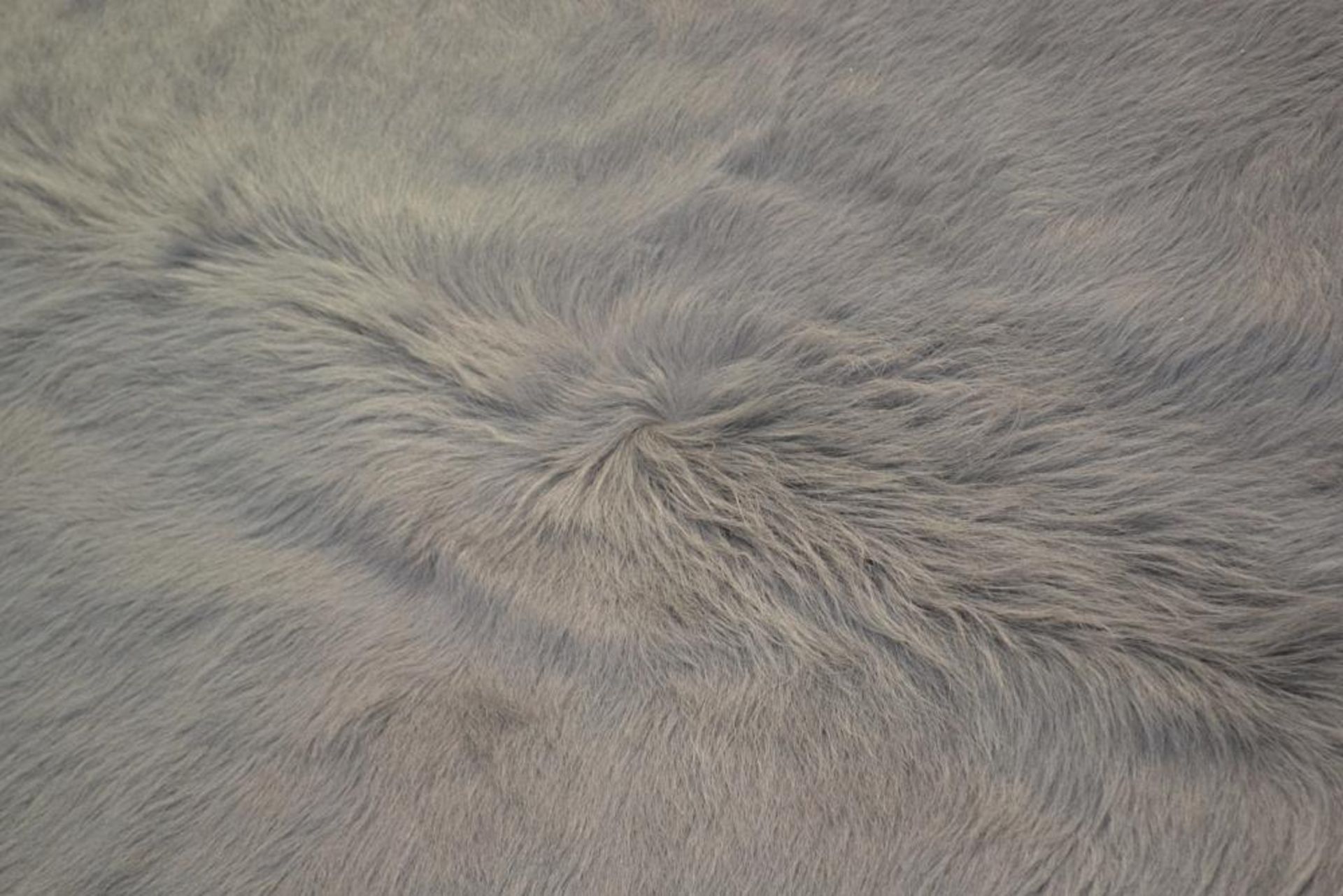 1 x LIGNE ROSET 'Margueritte' 100% Tanned Cowhide Rug With A Blue / Grey Finish - Dimensions (approx - Image 5 of 8