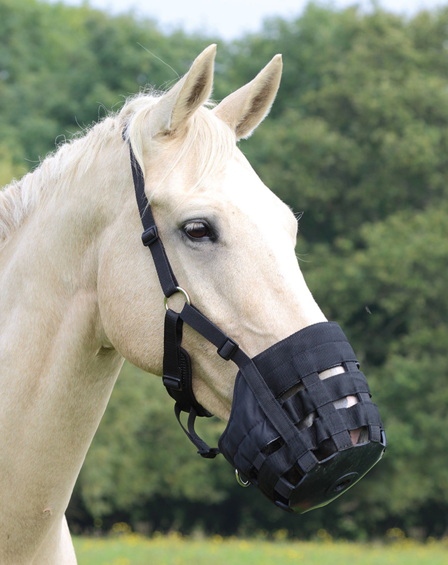 1 x Shires Comfort Grazing Muzzle - Cob 495N Black - New Stock - CL401 - Ref J895 - Location: