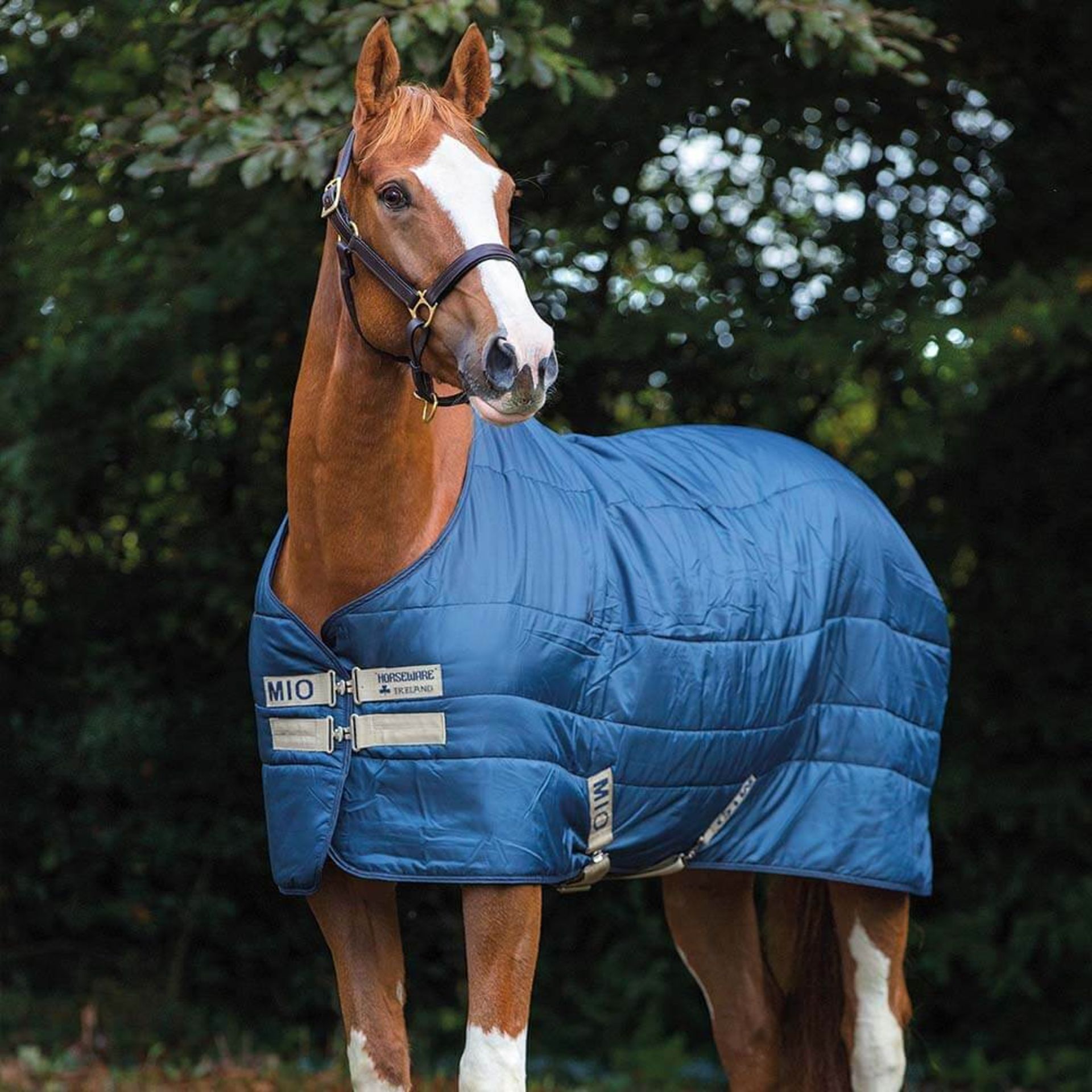 1 x Horseware Mio Insulator - Medium 150g in Navy - Size UK 51 - Product Code ABSB32-BMTB-51 - New