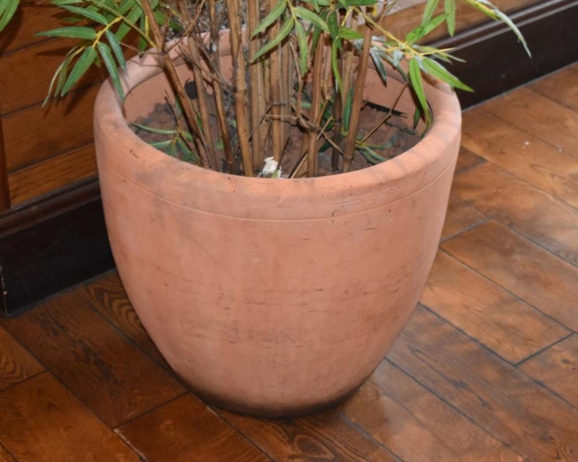 2 x Indoor Potted Artificial  Plants - Both Stand Approx 6ft Tall - CL461 - Location: London - Image 2 of 3