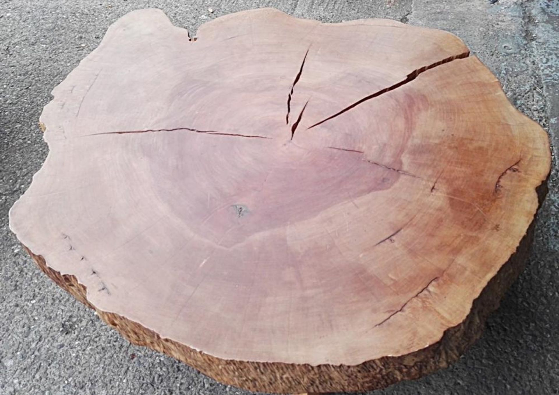 1 x Unique Reclaimed Solid Tree Trunk Low Coffee Table - Dimensions (approx): H46 x W153 x D130cm - - Image 2 of 6