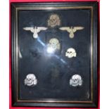 Framed set of WW2 German SS insignia & badges (7)