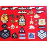 Display board of Royal Australian Air Force unit insignia, badges, buttons & cloth wings (38)