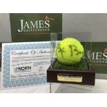 Tennis Interest-Bjorn Borg Signed Tennis Ball & Display Case