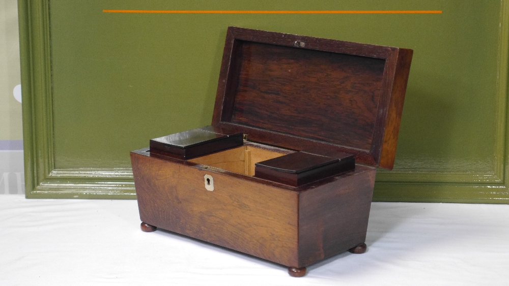 19th Century Antique Rosewood Tea Caddy of Sarcophagus Form