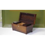 19th Century Antique Rosewood Tea Caddy of Sarcophagus Form