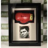 Muhammad Ali Signed Everlast Boxing Glove & Signed Picture