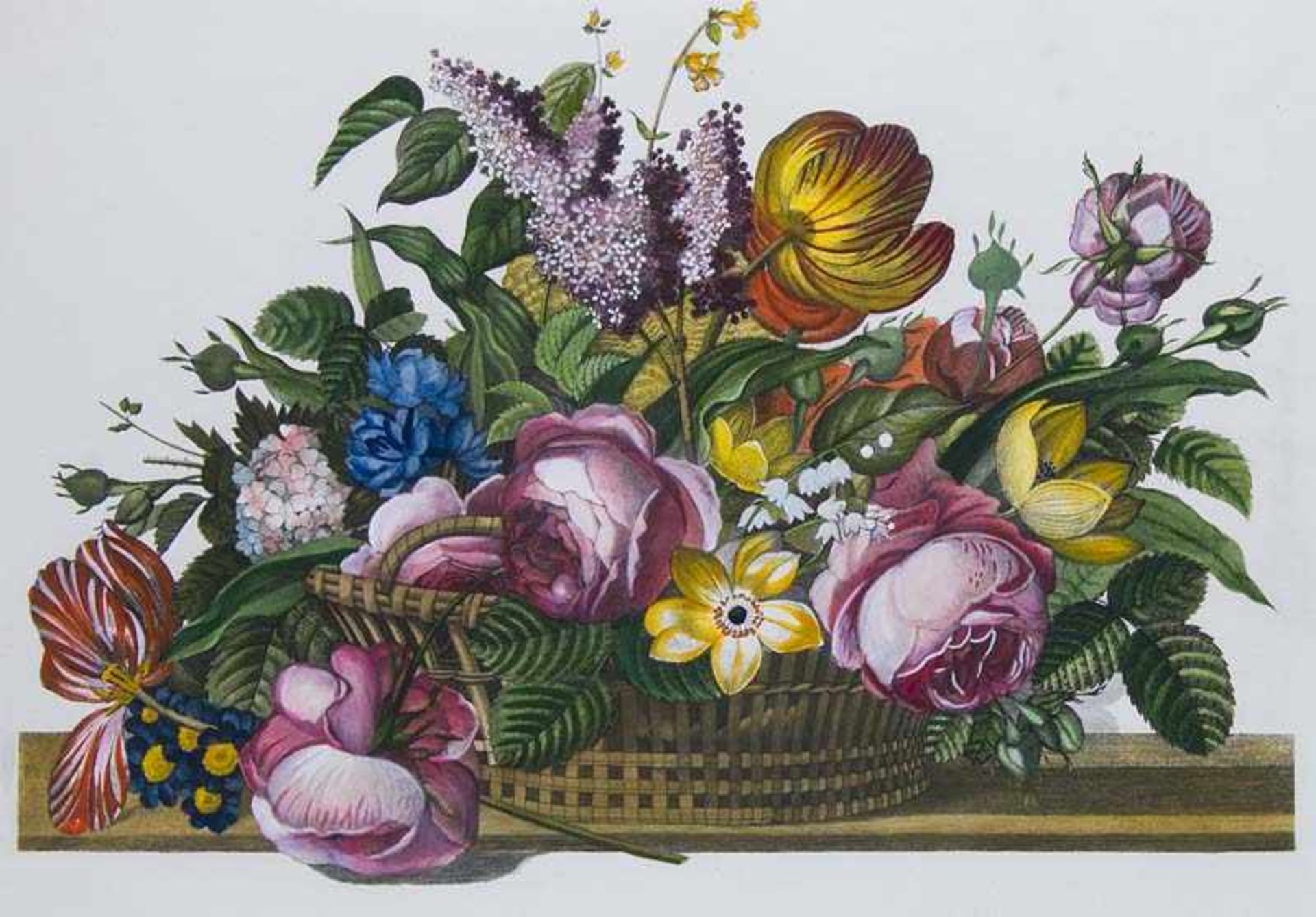 Blumen - - Konvolut von 45 prachtvollen Kupferstichen mit dekorativen Bouquets, Blumen- und