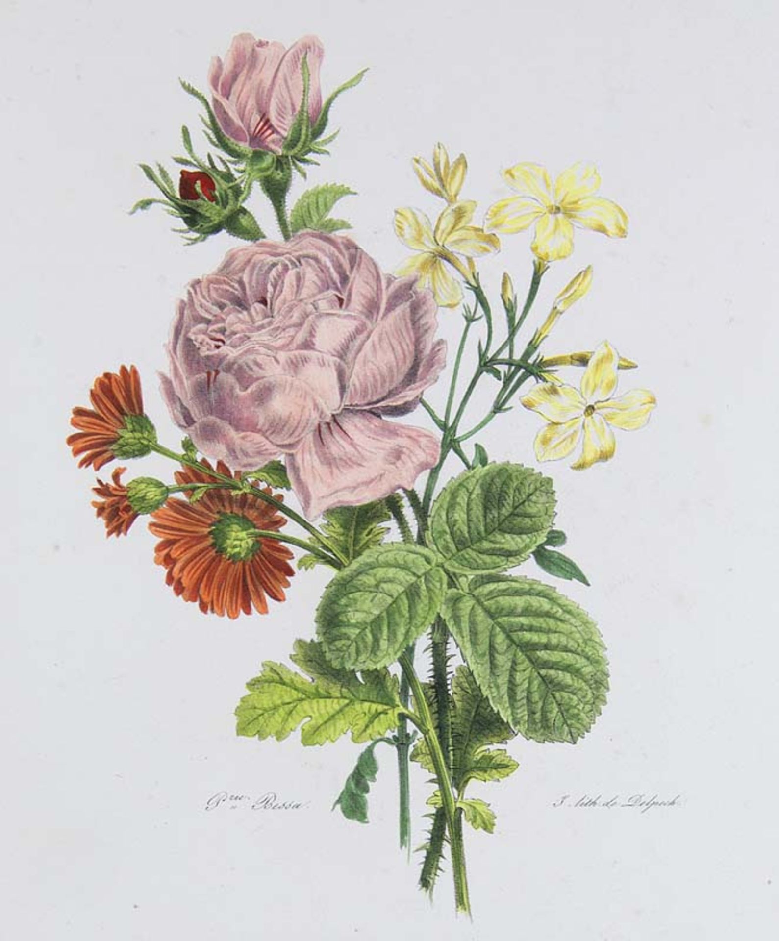 Konvolut von ca. 200 Bll. Blumen und Pflanzen in Kupferstich, Lithographie und Chromolithographie.