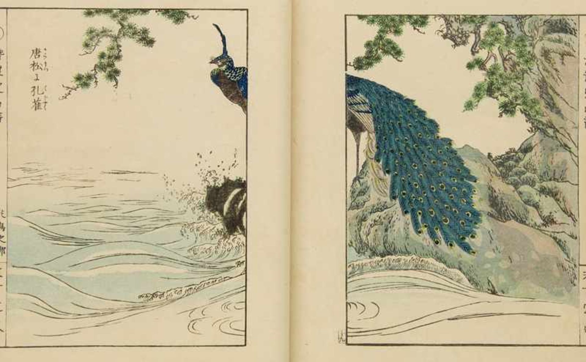 Japan Kiyoshi, Takizawa Senryûdô gafu. 24 farbige Holzschnitte mit Vogel- und Pflanzendarstellung.