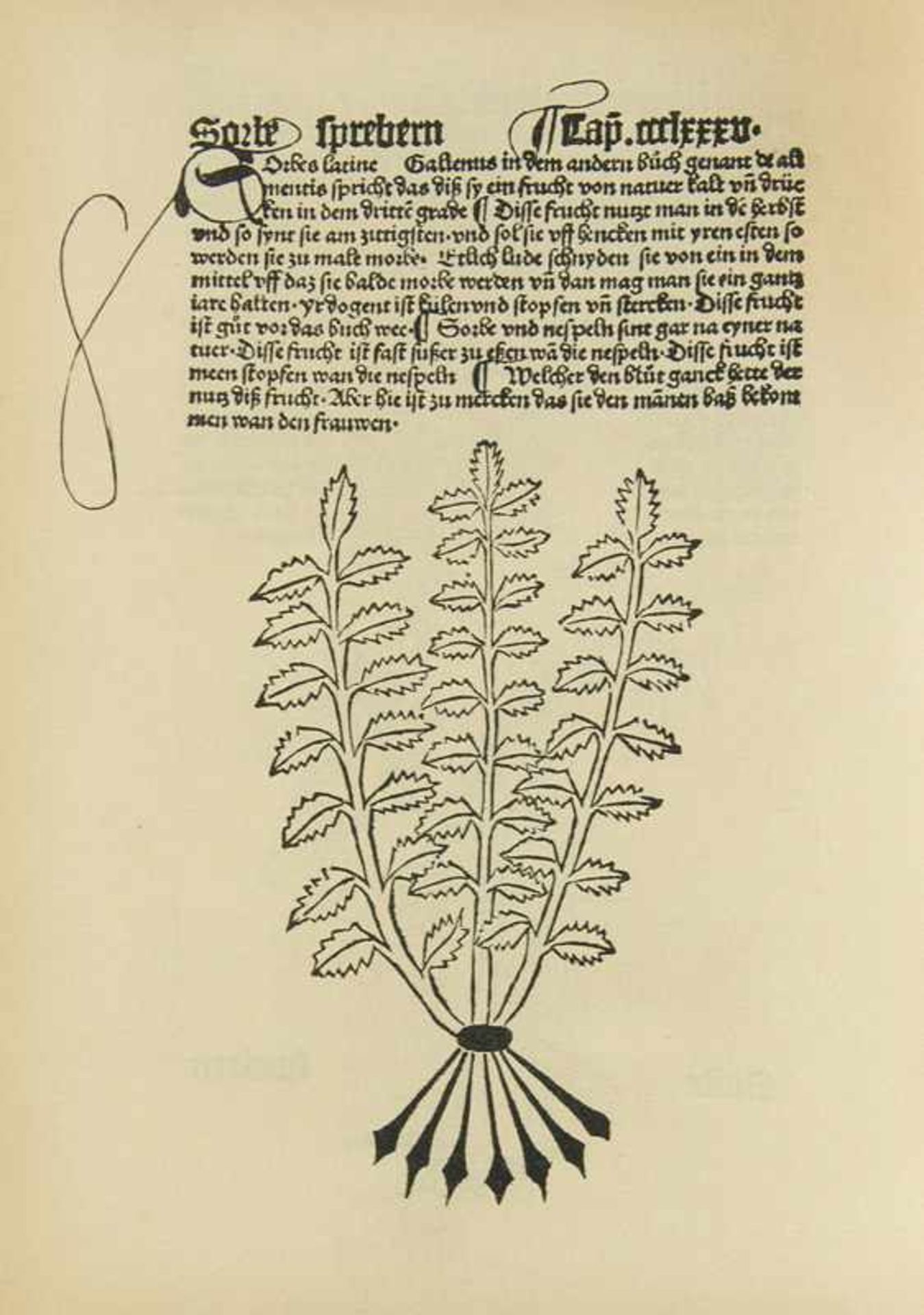 Hortus Sanitatis. - German. Mainz, Peter Schöffer, 1485. Complete facsimile edition. With numerous