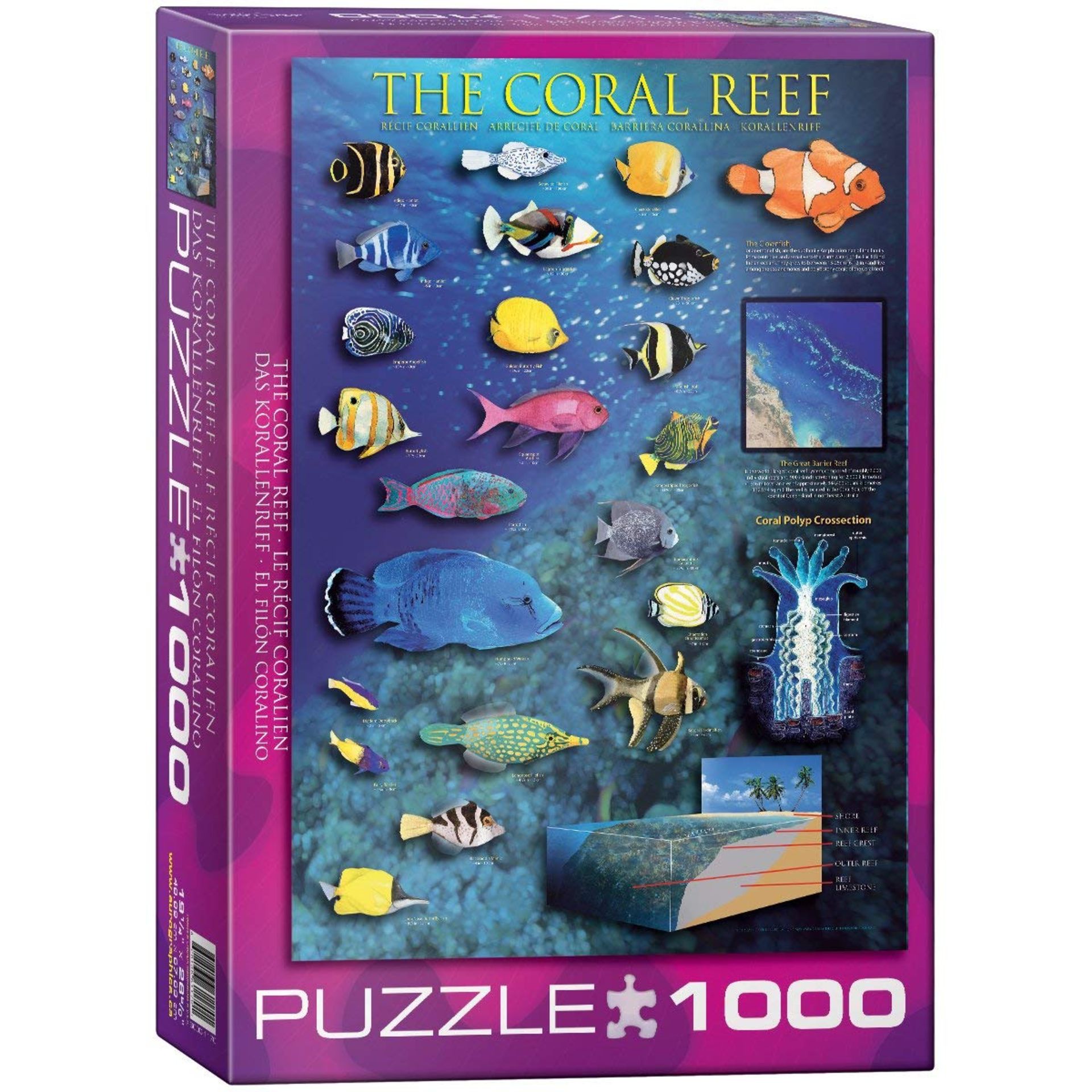 23 x Eurographics The Coral Reef Puzzle (1000 Pieces) | 628136611701 | RRP £137.77