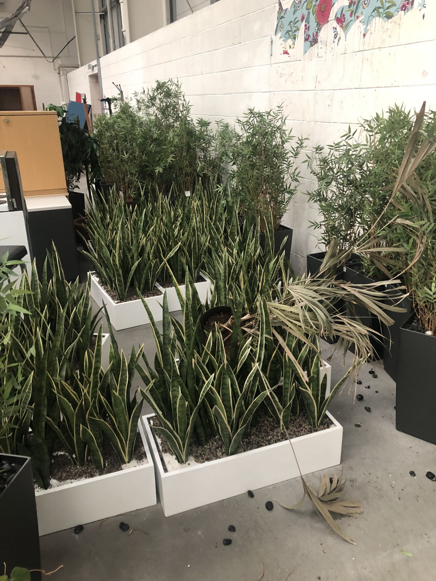 40 x Assorted Artificial plants and stands