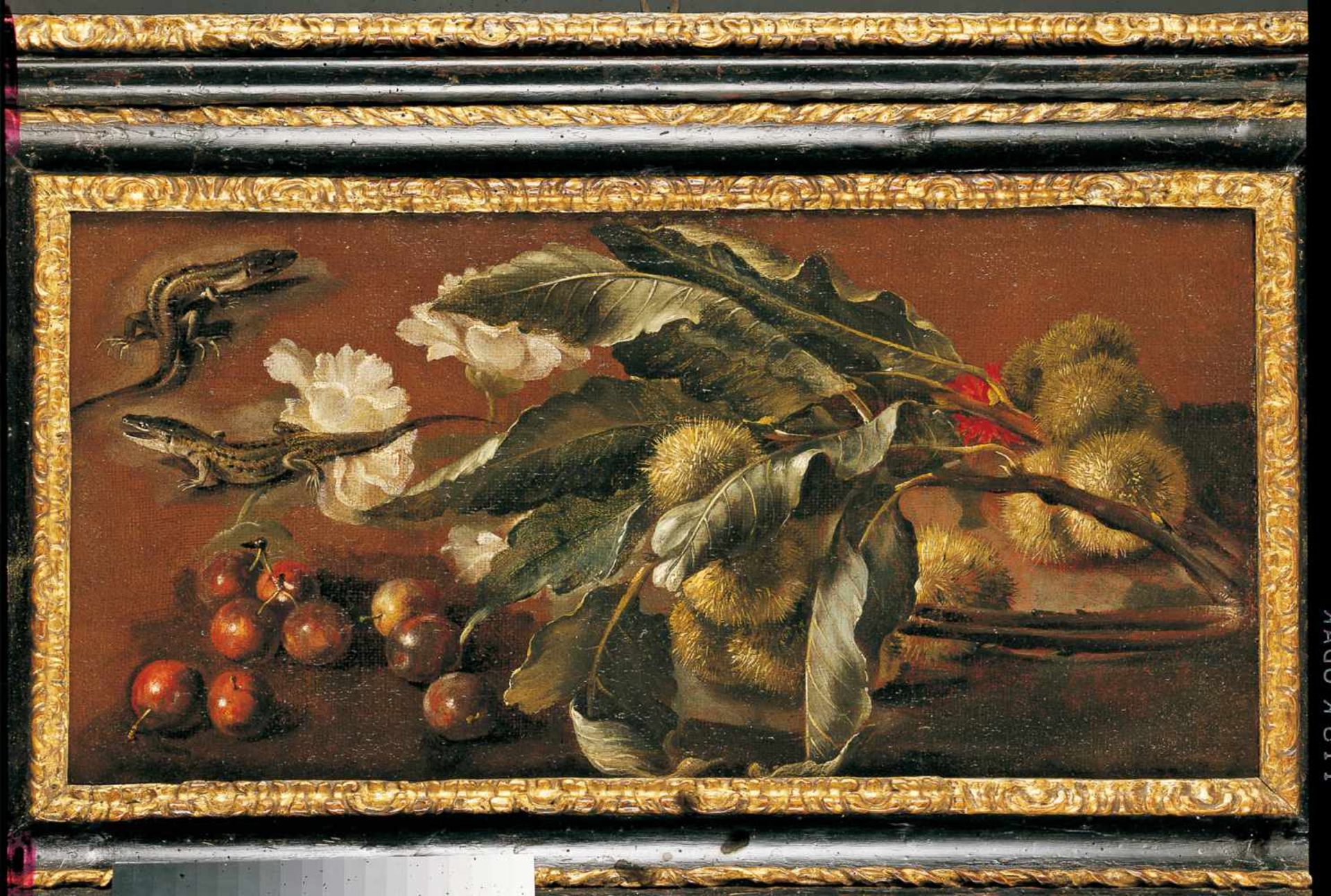 Paolo Porpora 1617 Neapel - 1673 Rom Kastanienzweig mit stacheligen Fruchtbechern, Kirschen und