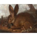 Franz Rösel Von Rosenhof1626 Vienna - Nuremberg 1700Kleiner Hase, an einem Klee knabberndÖl auf