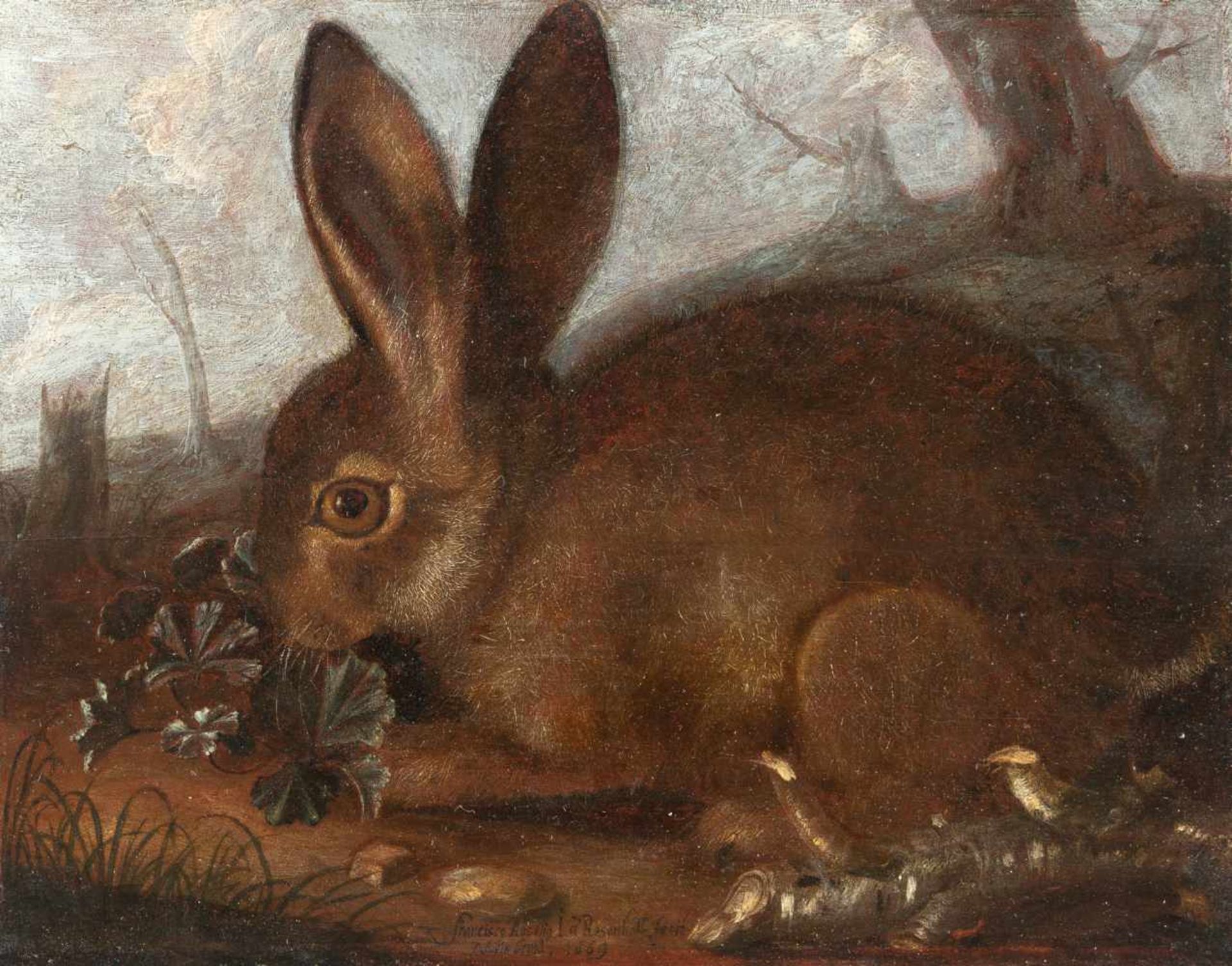 Franz Rösel Von Rosenhof1626 Vienna - Nuremberg 1700Kleiner Hase, an einem Klee knabberndÖl auf