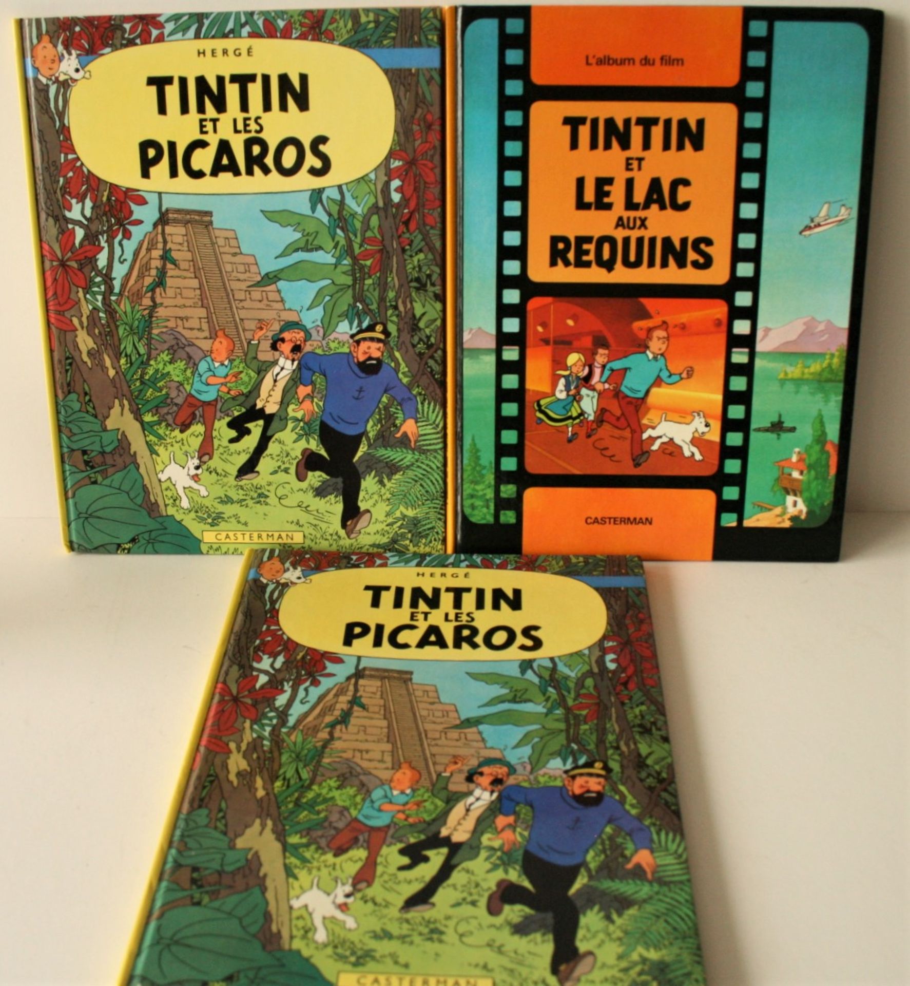 Ensemble de 18 albums de TINTIN, années 70/80, bon état + 1. Tintin et le lac aux [...] - Bild 2 aus 2