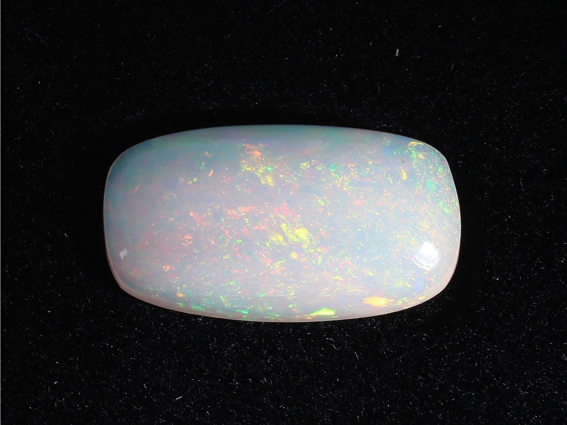 Opal: Opal-Cabochon von 3,06ctCa. 15,7 × 8,7 × 4,5mm, 3,06ct, sehr schönes Farbspiel, überwiegend