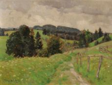 Felix Eisengräber1874 Leipzig - 1940 München - Sommerliche Wiesenlandschaft - Öl/Karton. 50,5 x 67