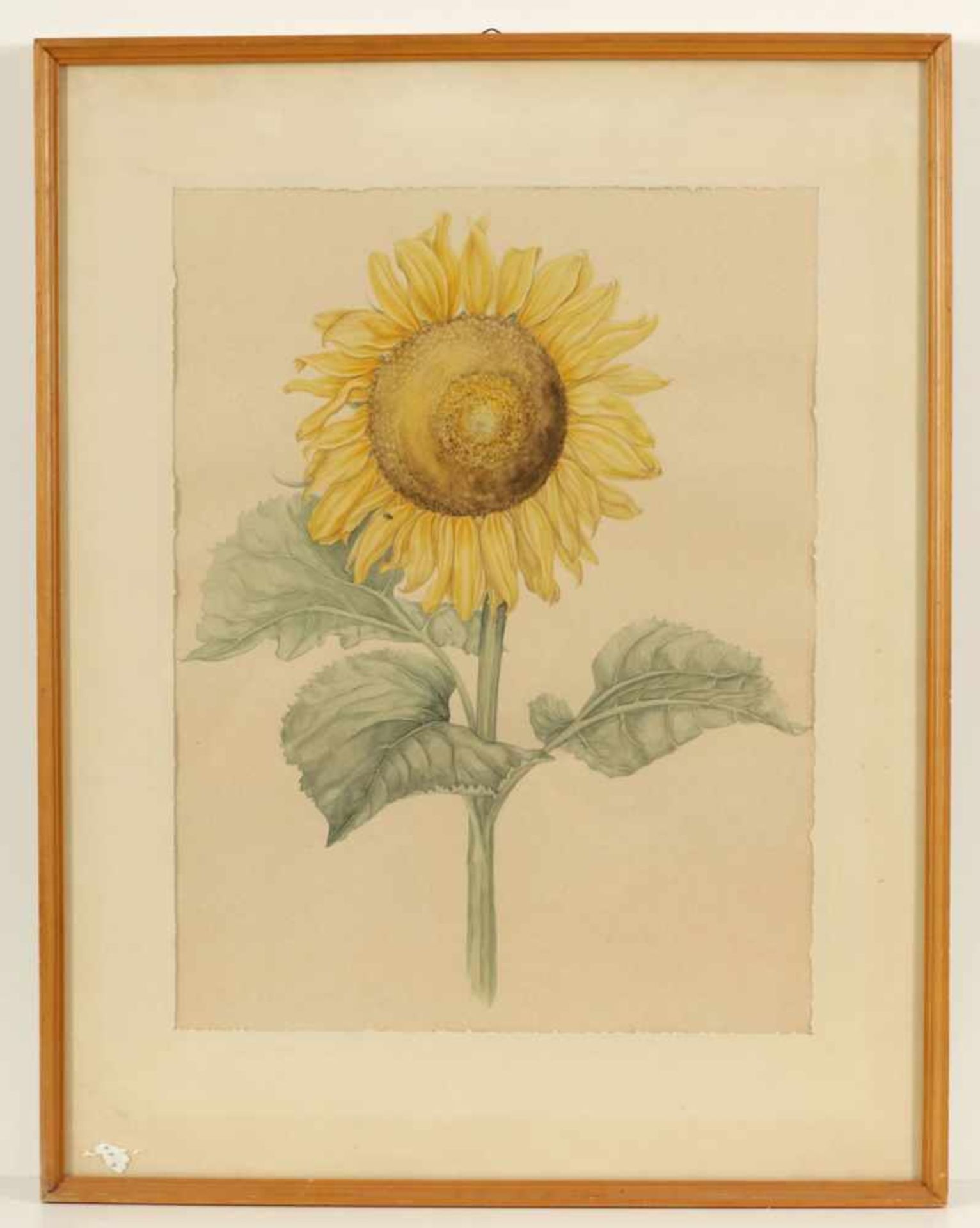 Künstler des 20. Jahrhunderts- "Sonnenblume" - Aquarell/Papier. 56 x 42,5 cm ( - Bild 2 aus 2