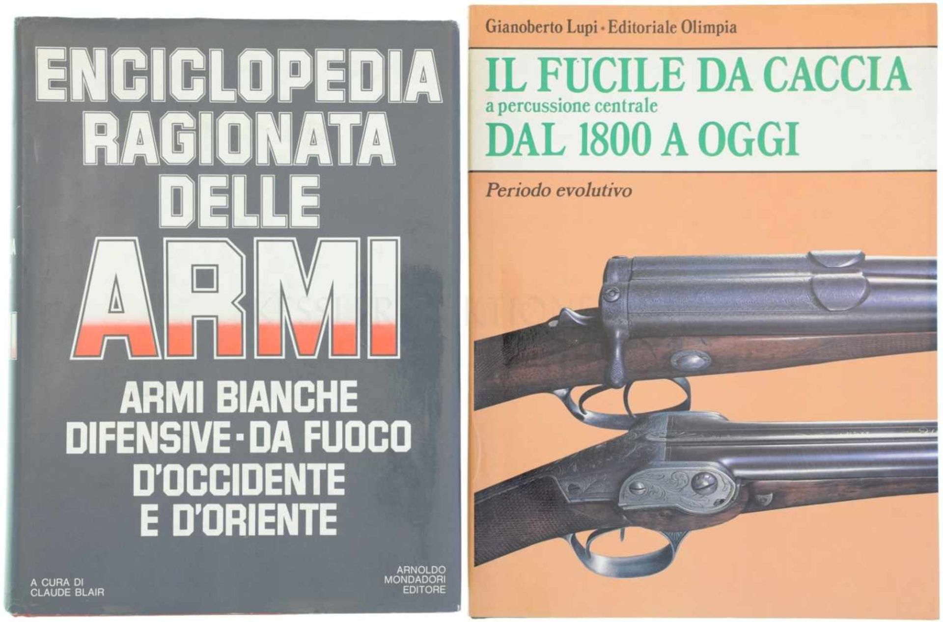 Konvolut von 2 Büchern 1. Enciclopedia Ragionata Delle Armi, Armi Bianche Difensive, Da Fuoco D'