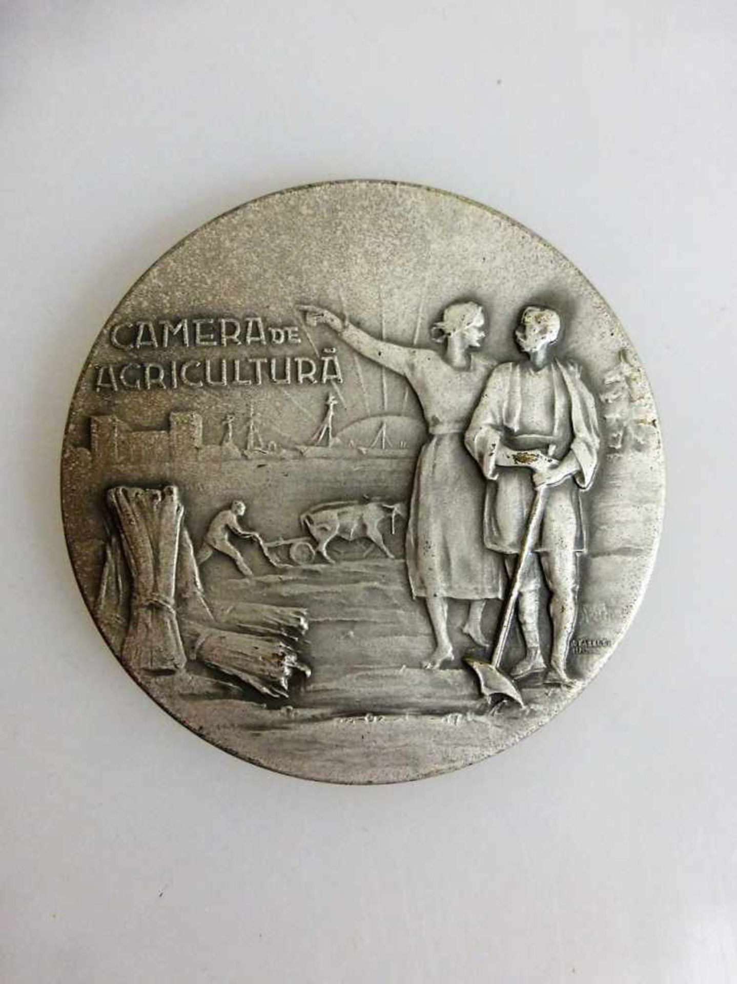 Italien Medaille, 1.H.20.Jh., Landwirtschaft, "Camera de Agricultura - Expositia", d.59,5mm- - -18.