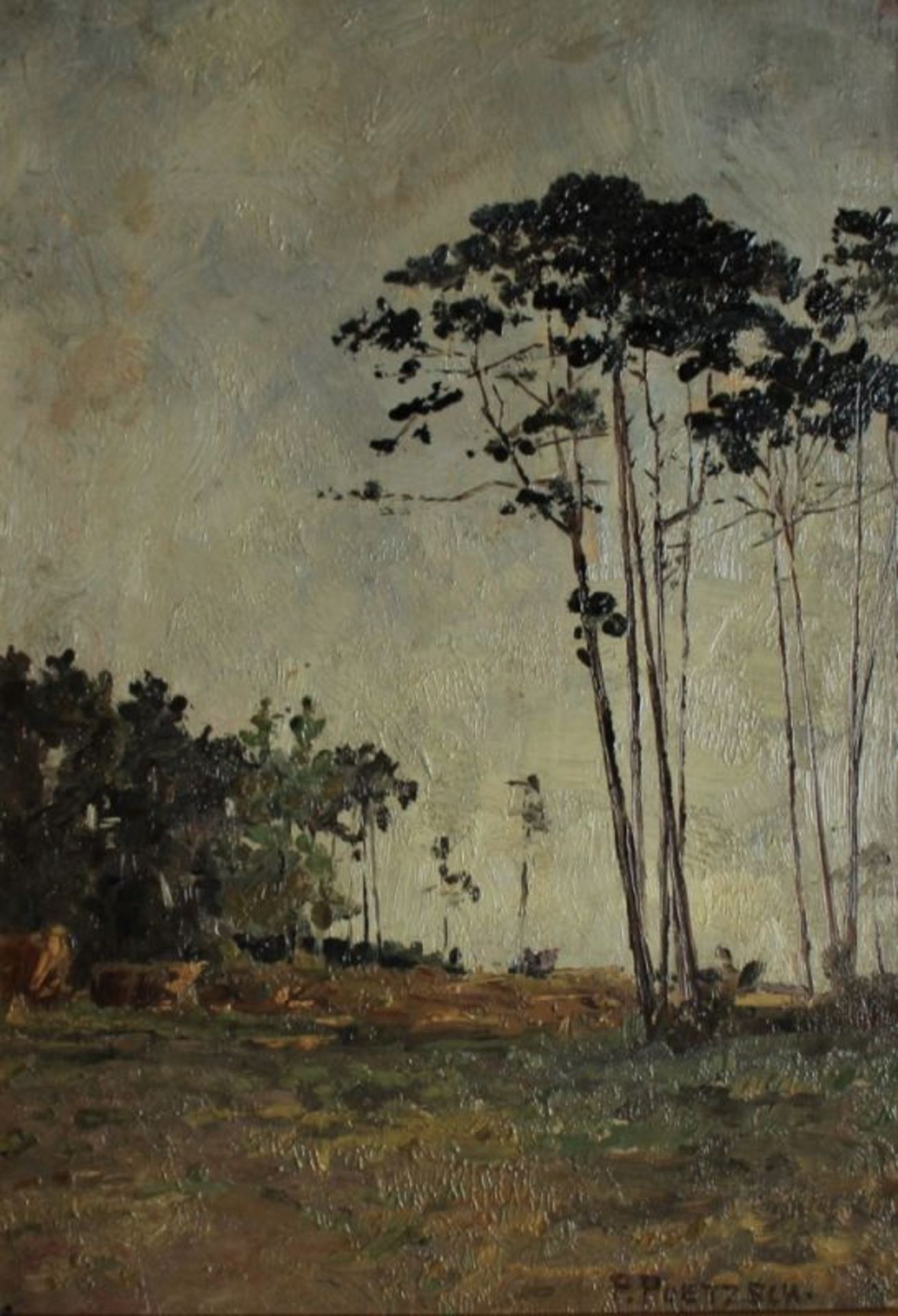 Gemälde - Paul Poetzsch (1858-1936 Dresden) "Landschaft", r.u. signiert, Öl auf Pappe, Maße 27,