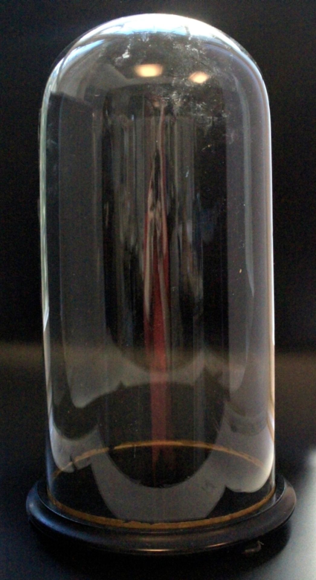 Hoher Glassturz - 19.Jahrhundert farbloser Glaszylinder mit rundem Abschluß, Holzsockel auf