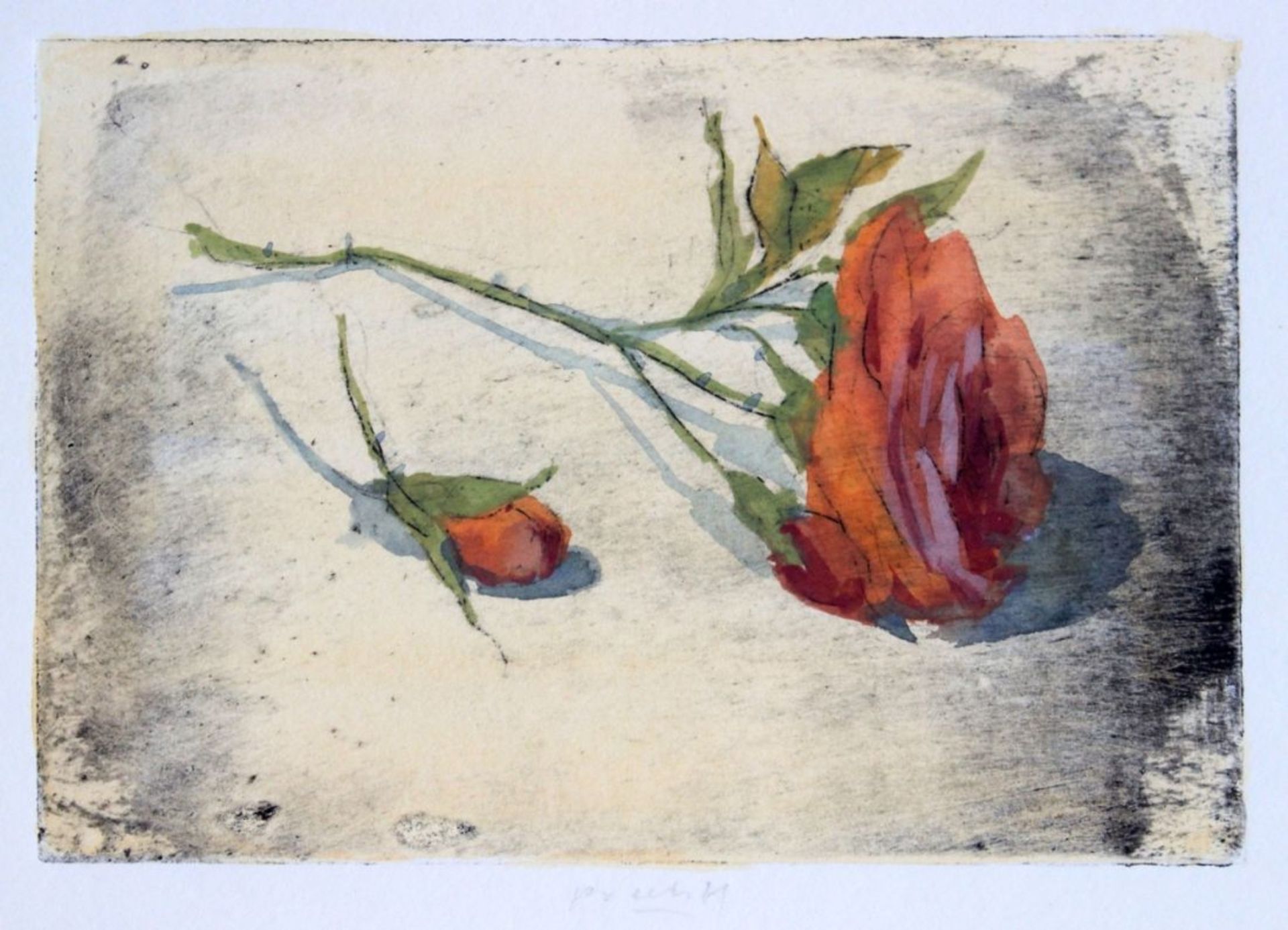 Aquarell über Radierskizze - Gerhard Prechtl (1951 Regensburg) "Rose", u.M. signiert, Maße