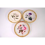 Three Worcester Chamberlains dessert plates