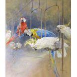 Arthur Wardle (1860-1949), Parrots,