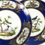 A pair of Sevres style porcelain plates, painted with birds