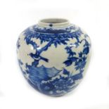 A Chinese blue and white ginger jar