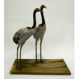 A pair of large Chinese cloisonne enamel models of cranes