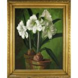 Gerald Cooper (1898-1975), White Amaryllis